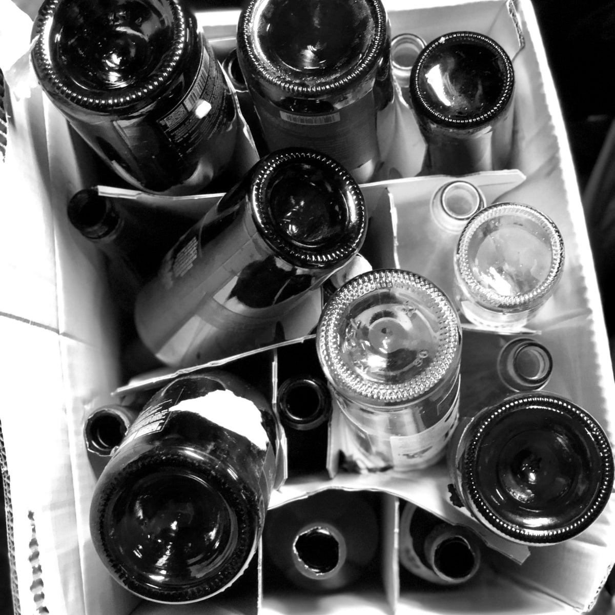 Everyday Elegance Mixed Case - 12 bottles