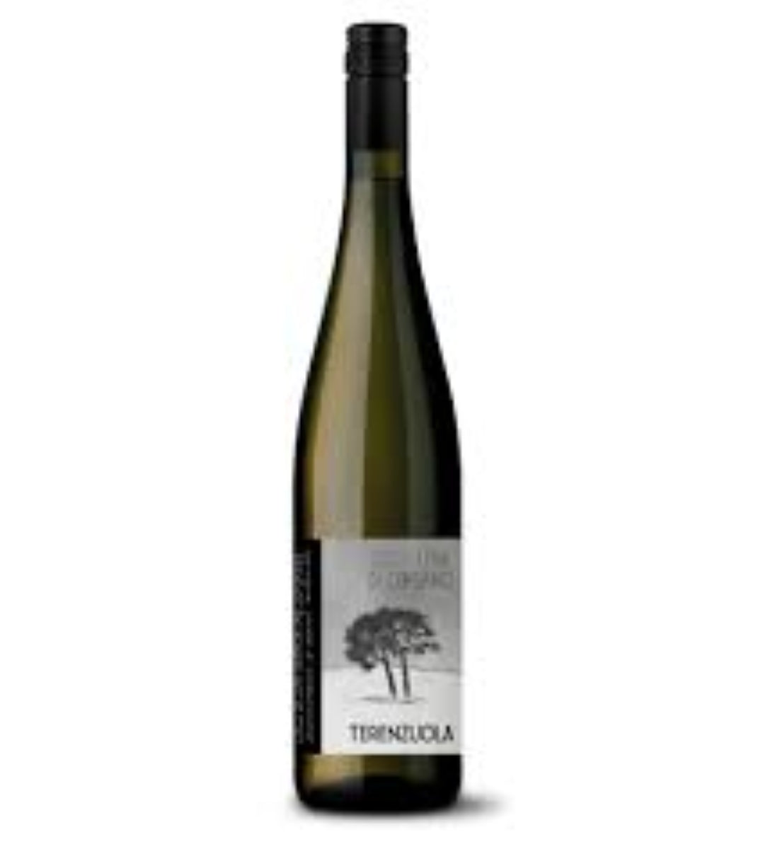 Bottle of 2023 I Pini di Corsano DOC Colli di Luni Superiore Vermentino from Terenzuola, Tuscany, Italy