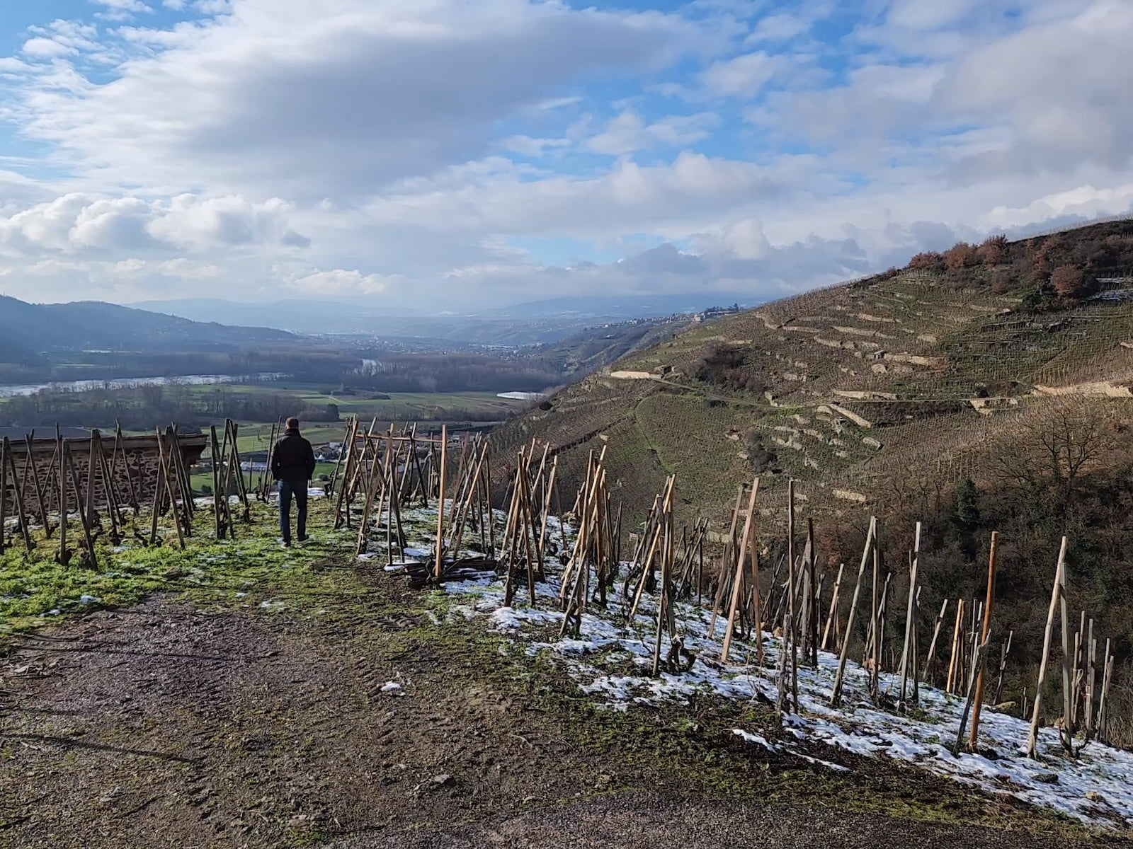 Ogier Cote rotie vineyards