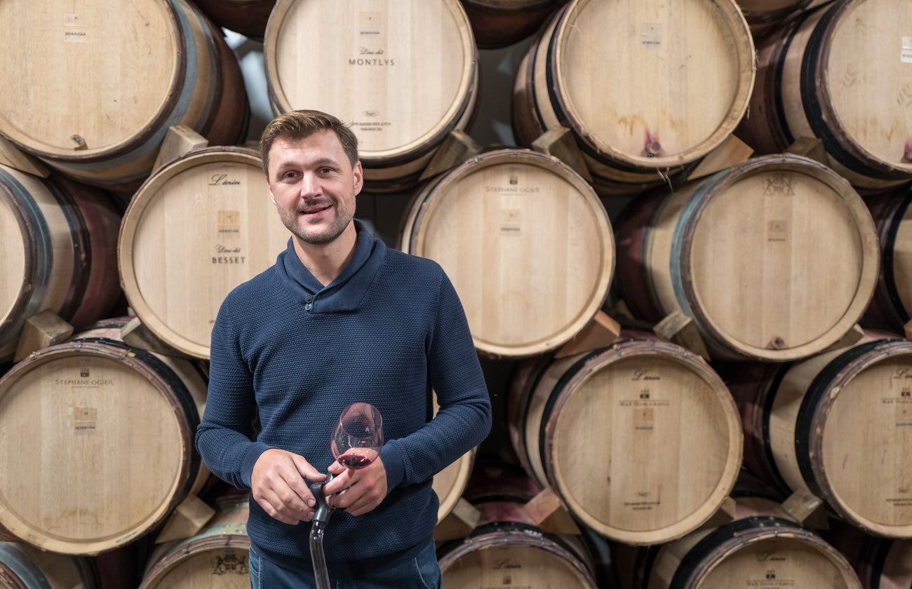 Ogier stefan winery portrait